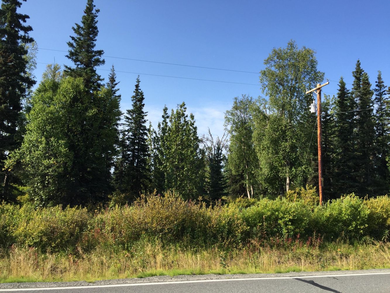 63767 Oil Well Rd, Ninilchik, AK 99639